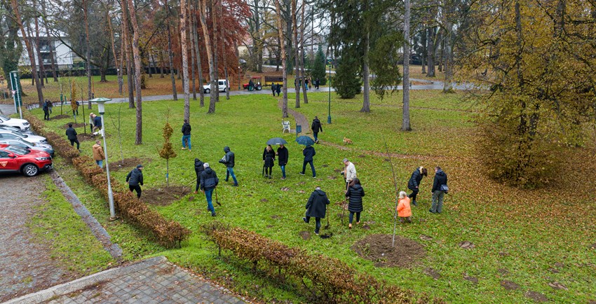 Karlovac sadnjom novih stabala nastoji ublažiti klimatske promjene, ali i postati još zeleniji i ljepši – Nastojanja Fond za zaštitu okoliša podržao sa 150.000 eura pa u Vrbanićev perivoj i ostale dijelove grada stižu mlada stabla, grmovi i živice